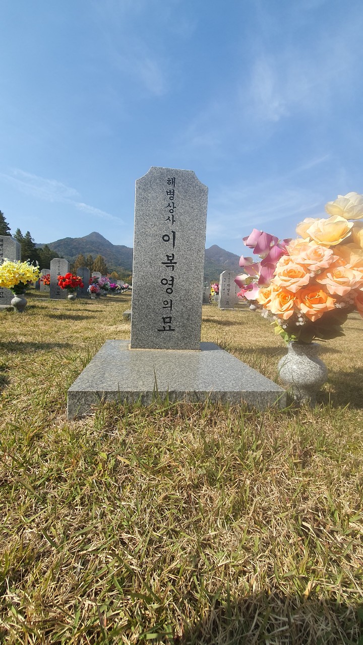 안장자 이미지