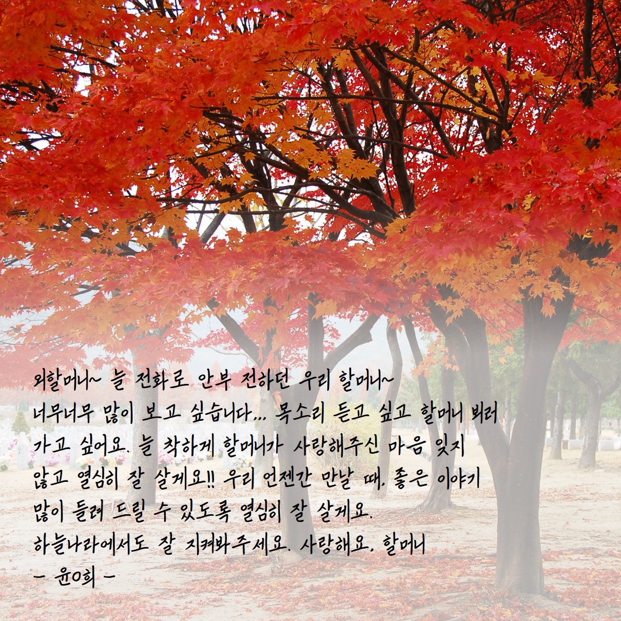 하늘나라우체통17