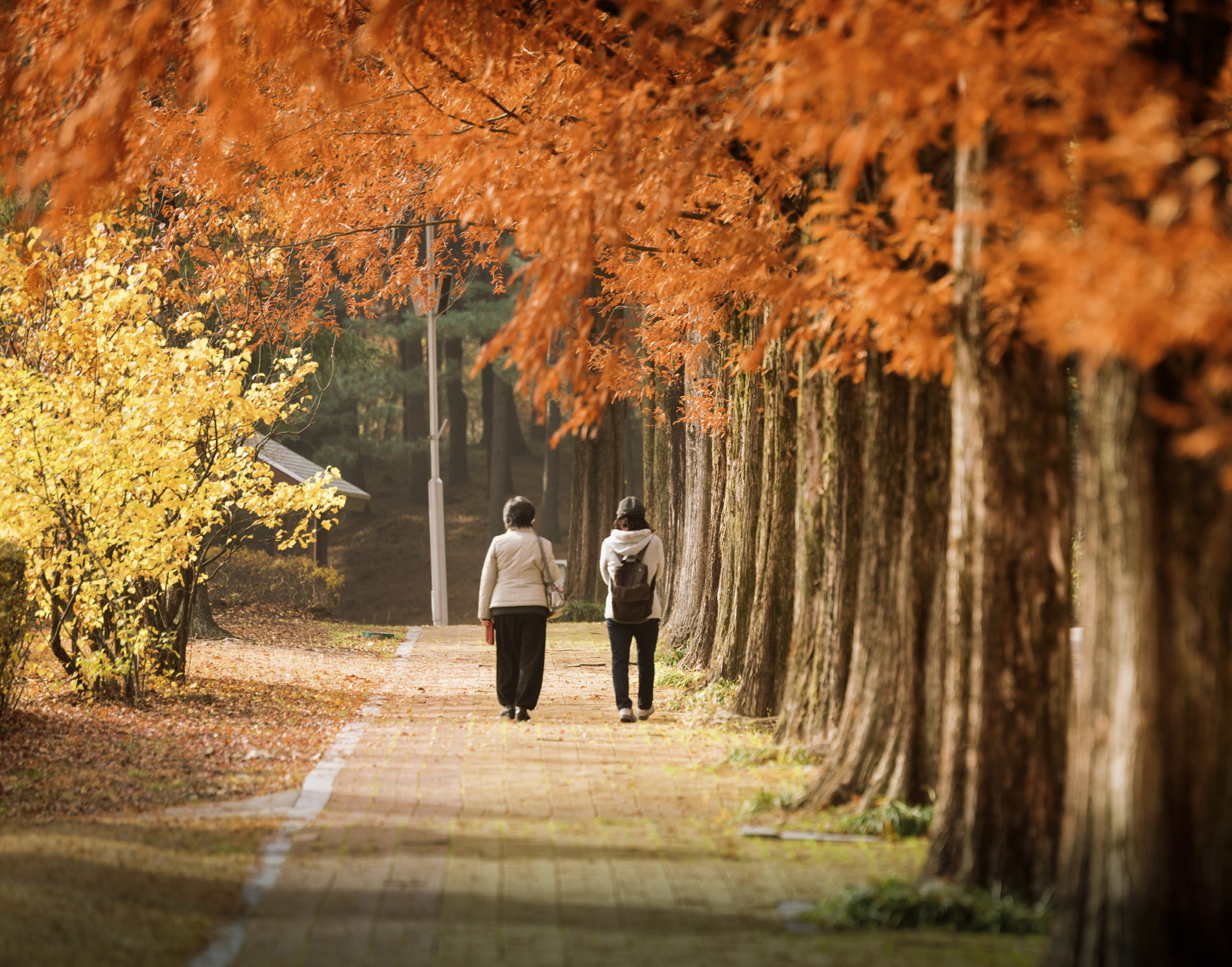 [크기변환]제11회 전국사진공모전_입선김동오-아버지의 빈자리