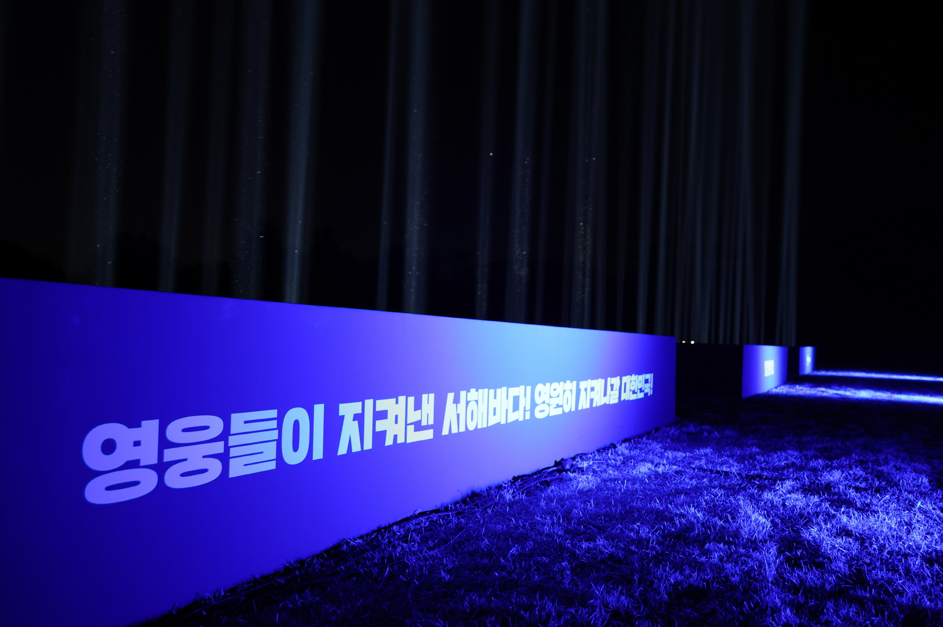축소 223A8911