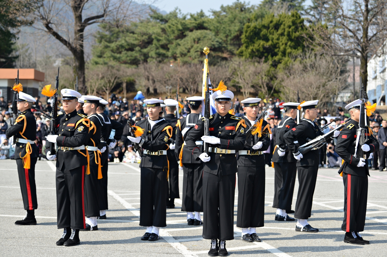 축소 CSB7964